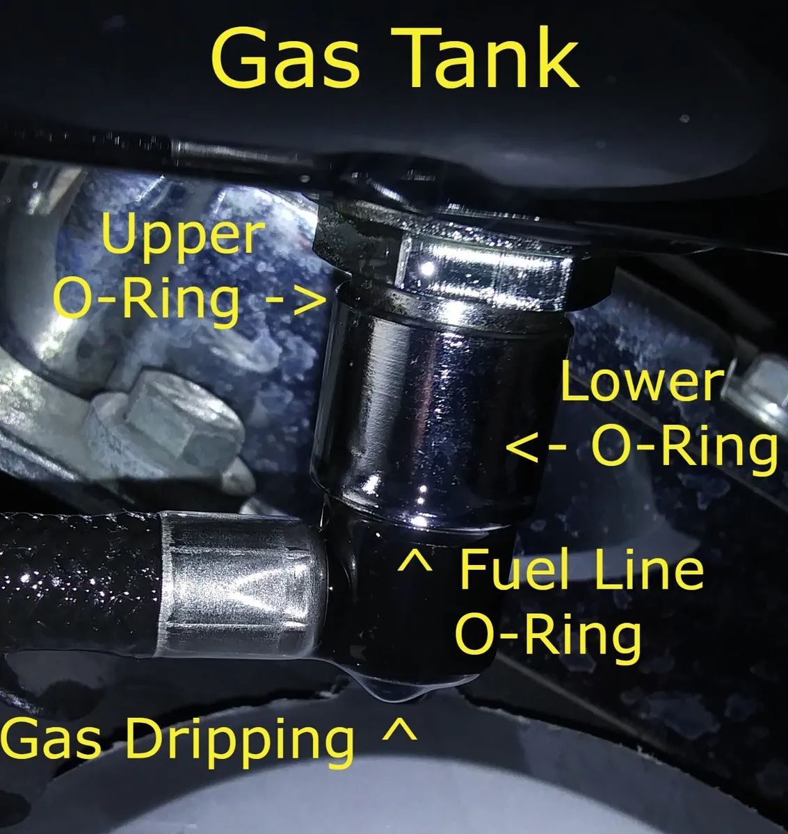 Harley Davidson Fuel Line Replacement